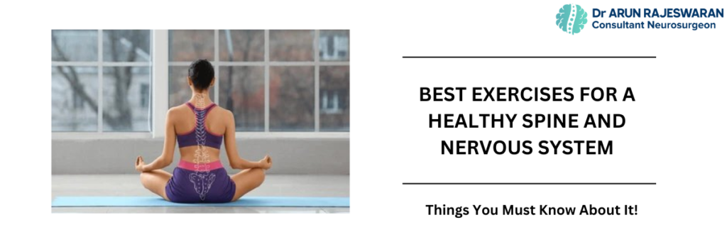 Best Exercises for a Healthy Spine & Nervous System